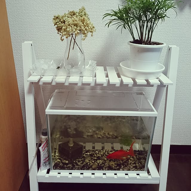 fuutanさんの実例写真