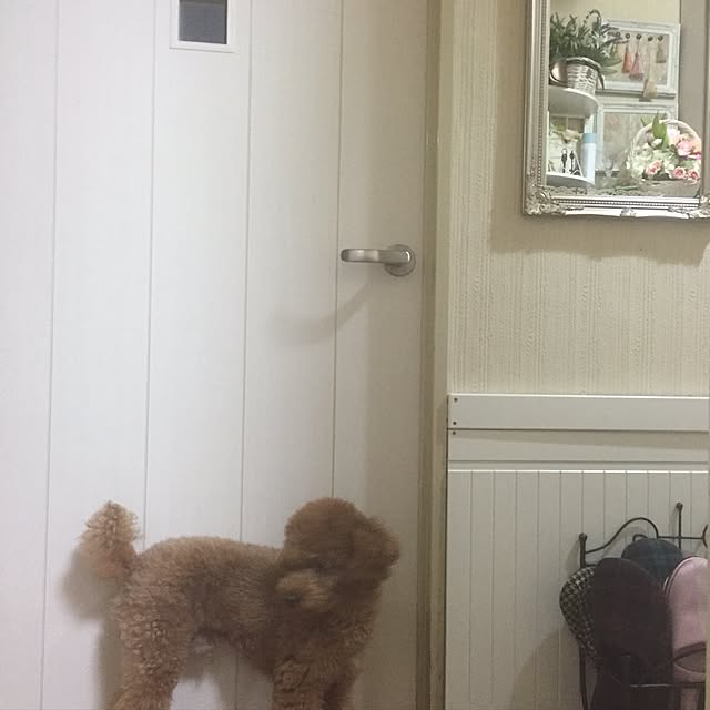 Naomiさんの実例写真