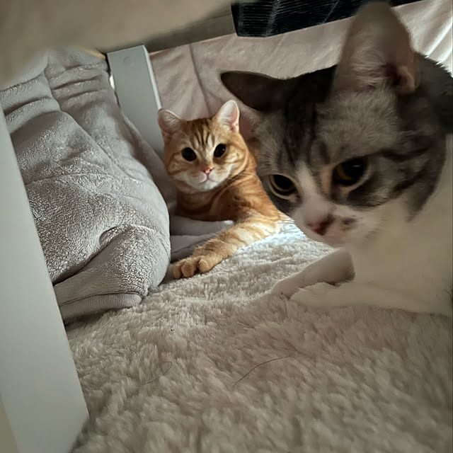 Atelier.mさんの実例写真