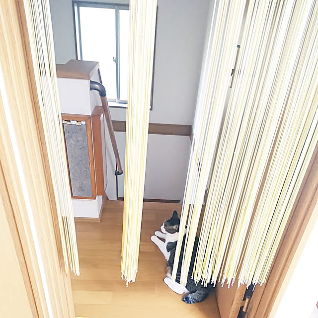 nachiさんの実例写真