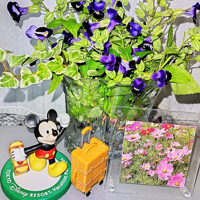 katさんの部屋