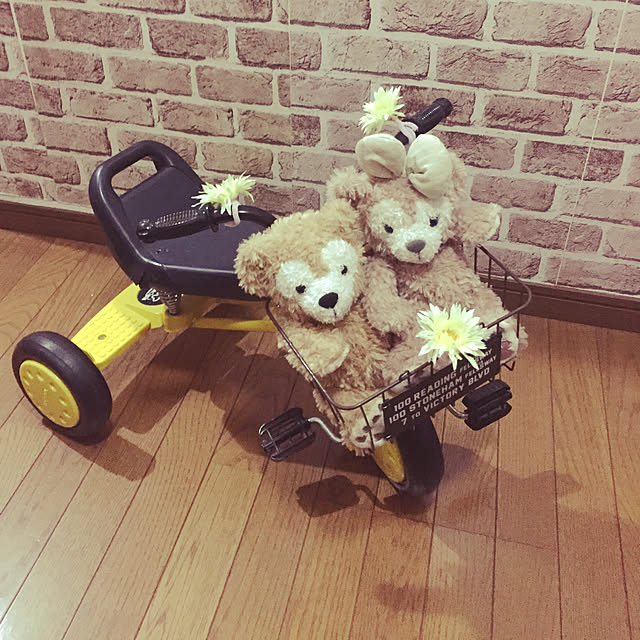Manamiさんの実例写真