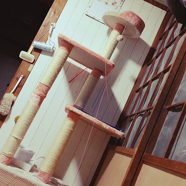kinakoさんの実例写真
