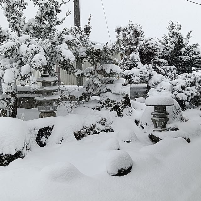 sumimarumiさんの部屋
