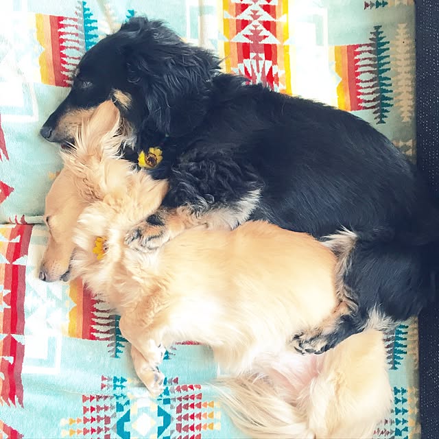 R_u_m_iiさんの実例写真