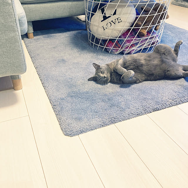 snoopyさんの実例写真