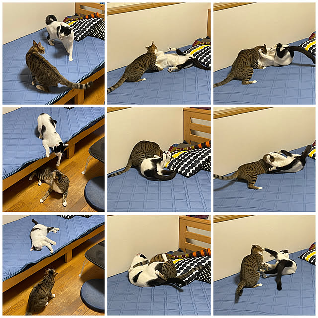 nobikoさんの実例写真