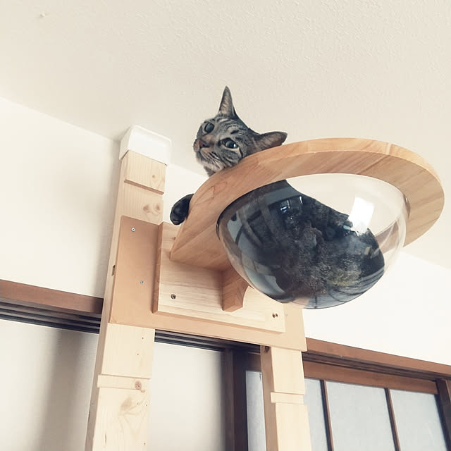Mikaさんの実例写真