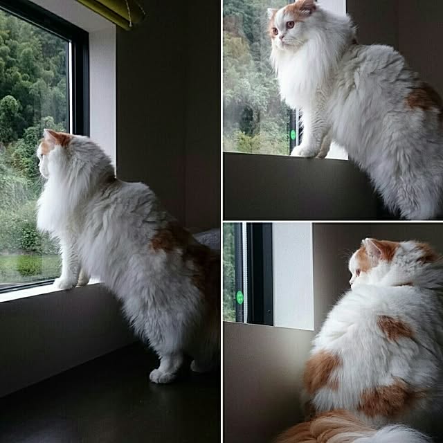1ldksさんの実例写真