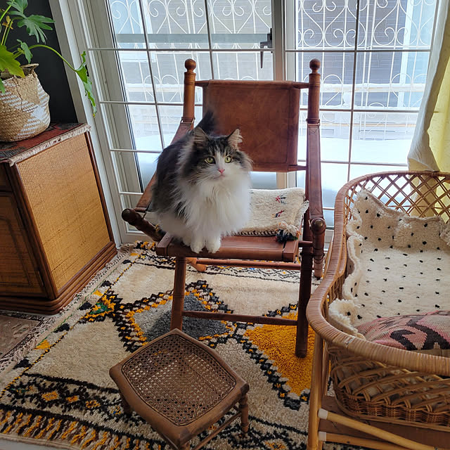 neoさんの実例写真