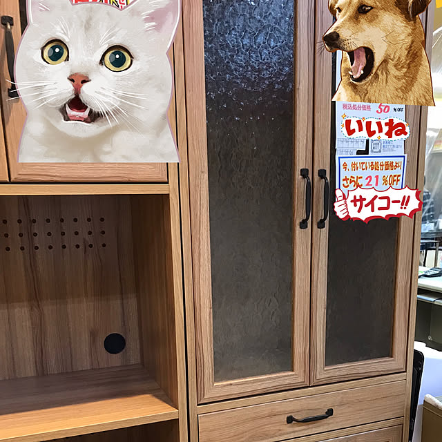 実例写真