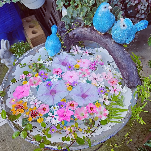 mocomocoさんの実例写真