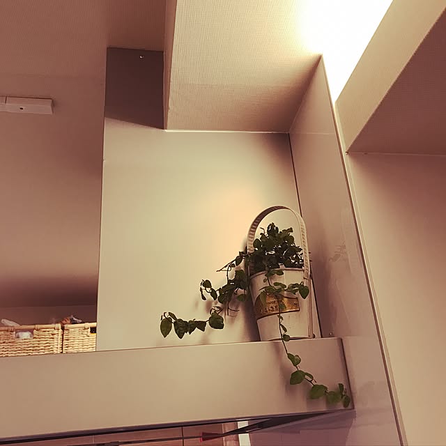 usapippiさんの実例写真