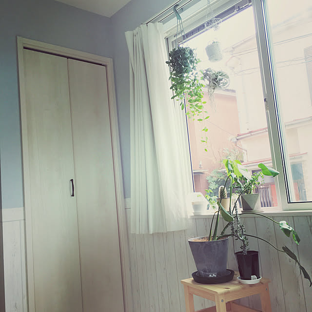 観葉植物/無印良品/ナチュラル/一人暮らし/カフェ風...などのインテリア実例 - 2021-07-09 00:41:46