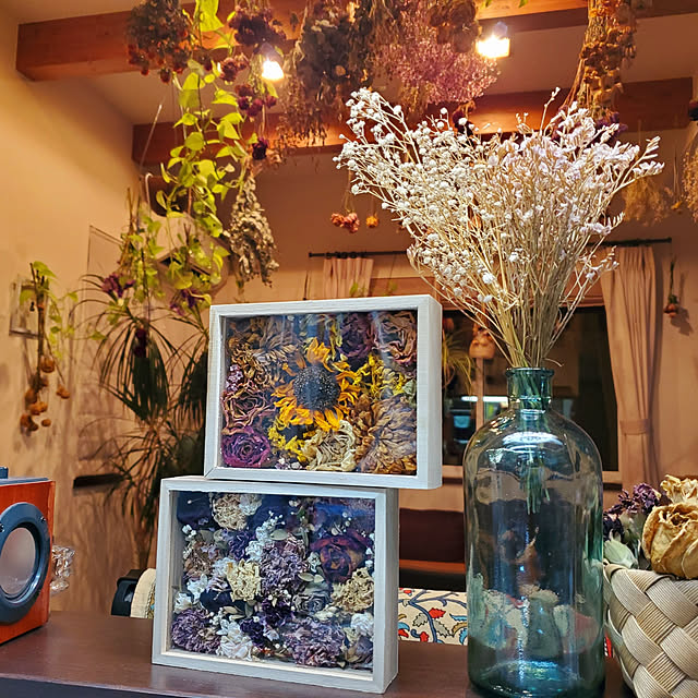棚/100均/セリア/観葉植物/ドライフラワー...などのインテリア実例 - 2020-08-21 21:59:47