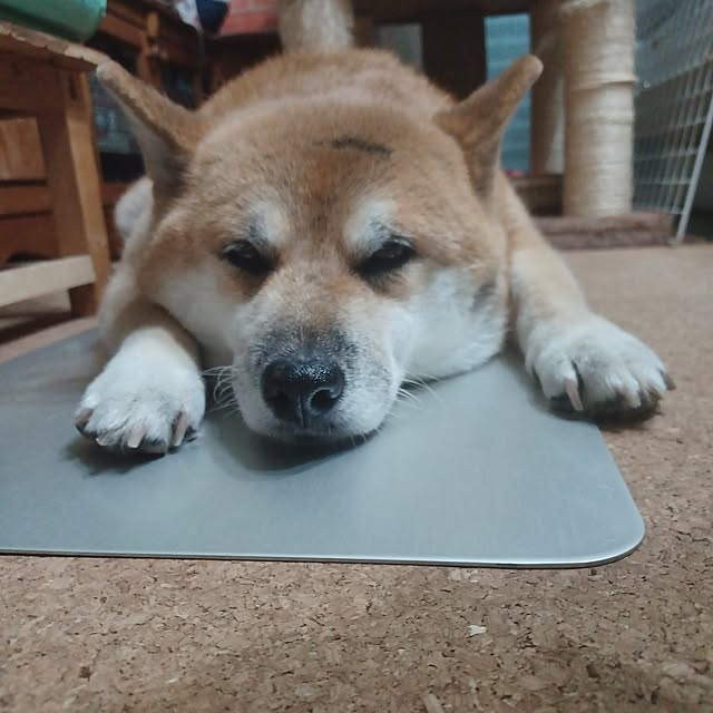 nanaさんの部屋