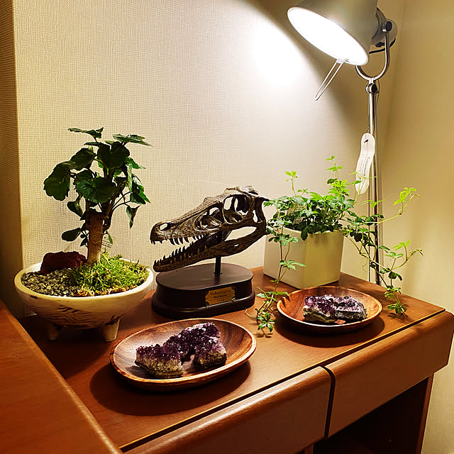 Yuntakuさんの実例写真