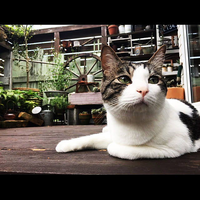 marusanさんの実例写真