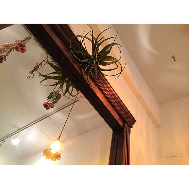 kurobarさんの実例写真