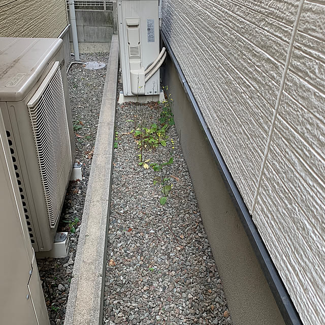Ayaさんの部屋