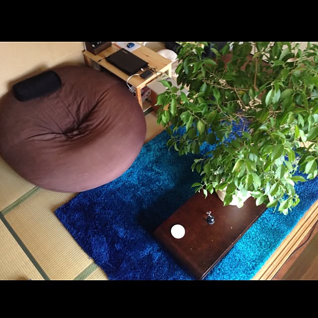 リビング/植物/絨毯のインテリア実例 - 2013-10-05 10:54:31