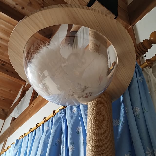 makaronさんの実例写真