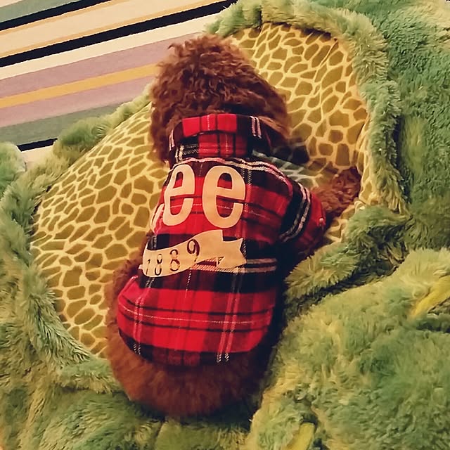 mikiさんの実例写真