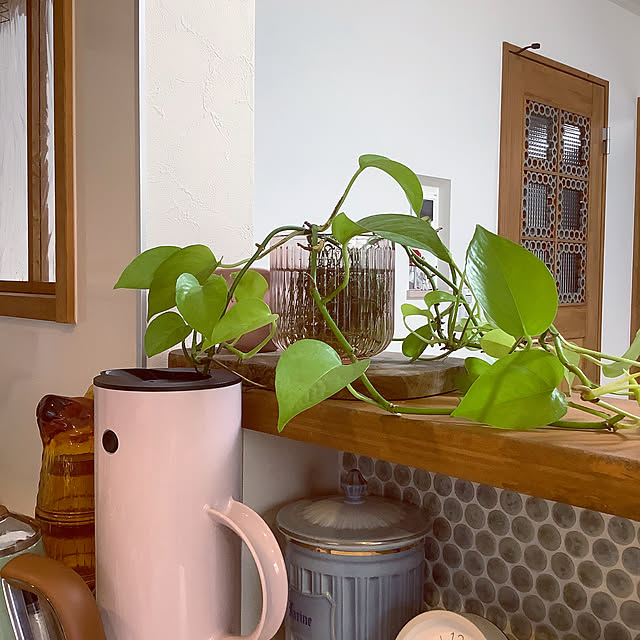 naive.coccoさんの部屋