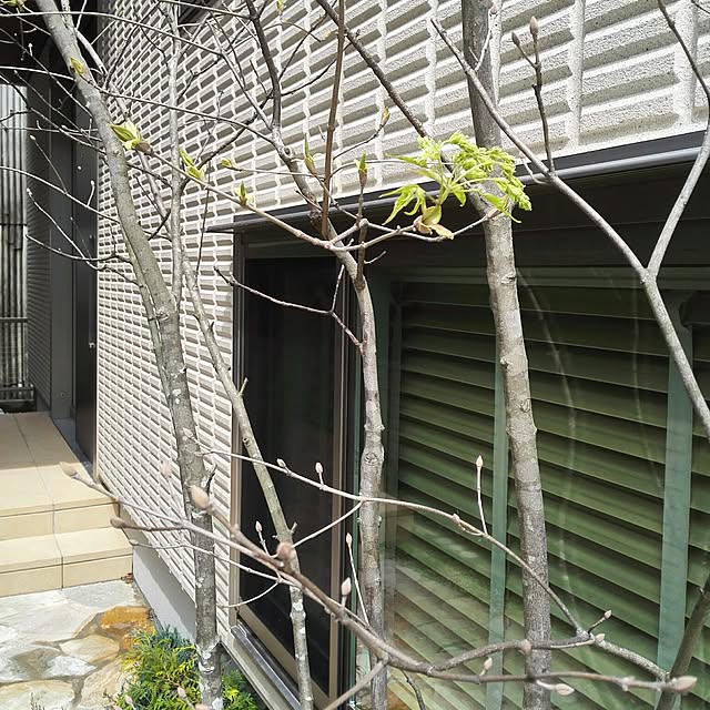 Yukさんの実例写真