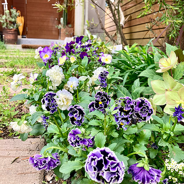 green.green.greenさんの部屋