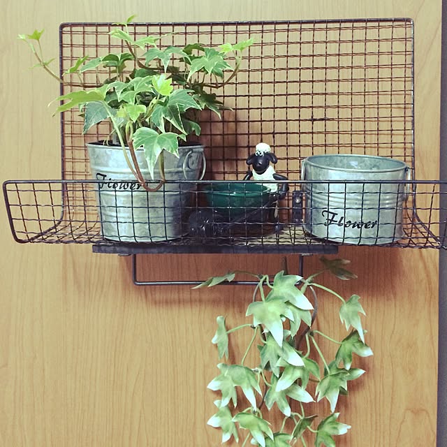 haruさんの実例写真