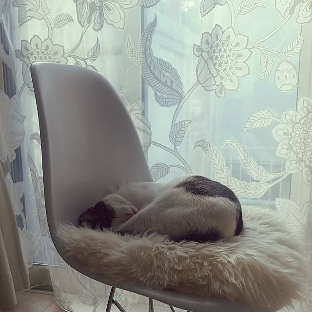 runayucoさんの実例写真