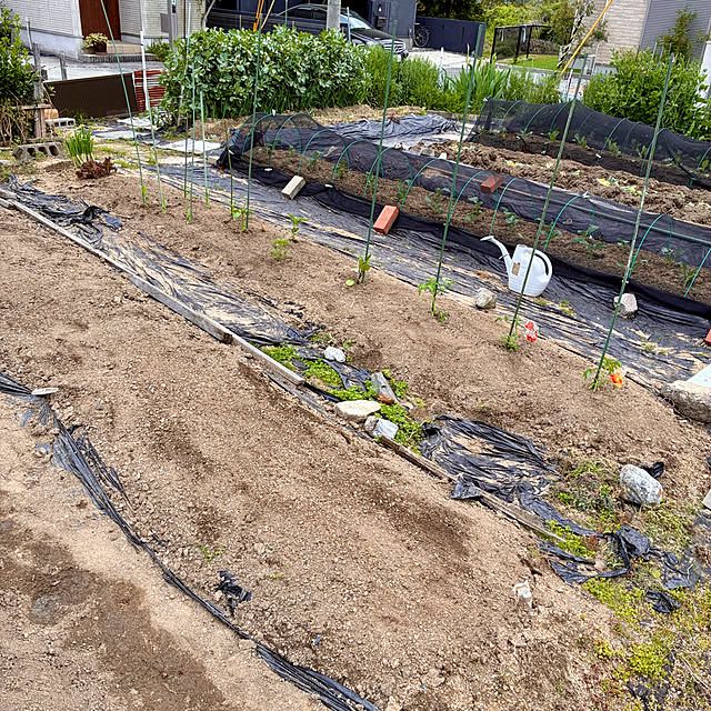 ayayayayaさんの実例写真