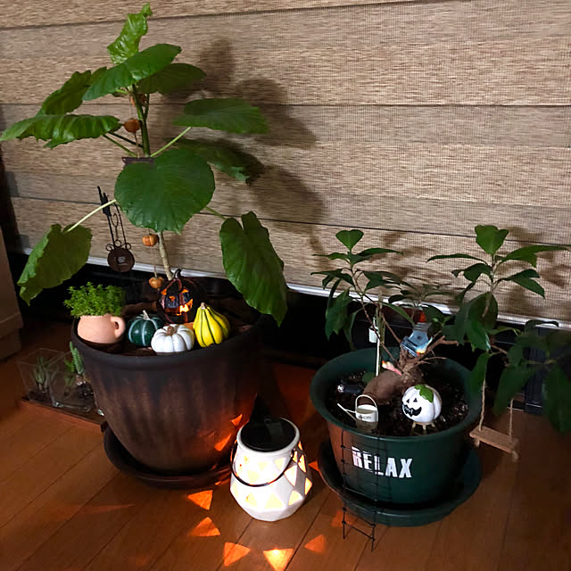 CoffeeHouseさんの実例写真