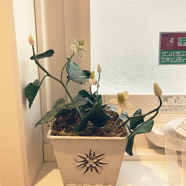 Nさんの実例写真