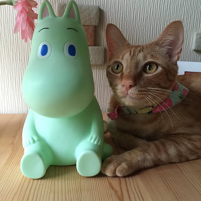 mtkさんの実例写真