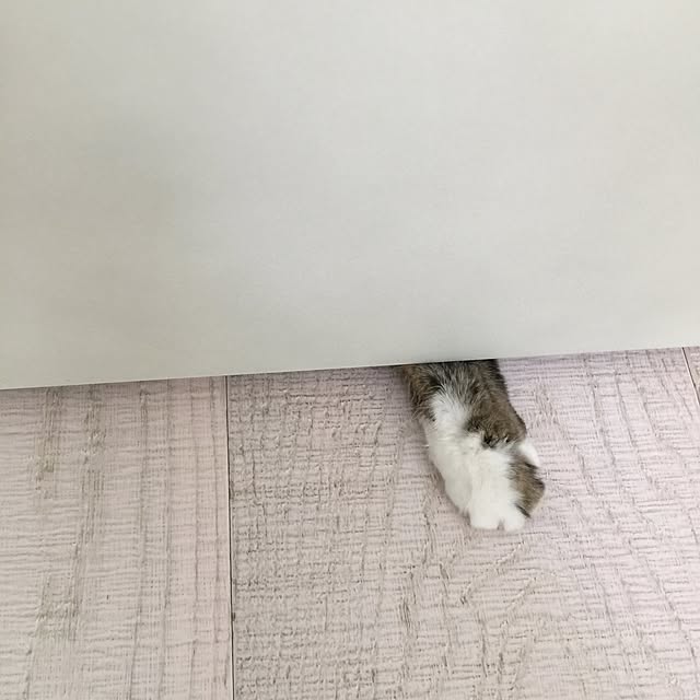 yuchiさんの実例写真