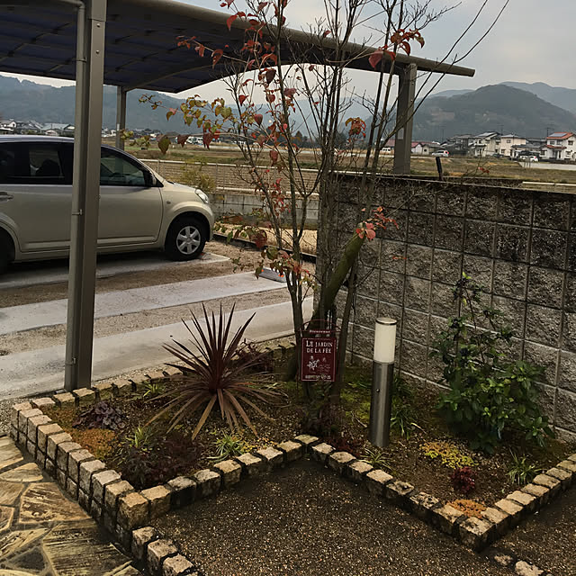 vol.1323写真
