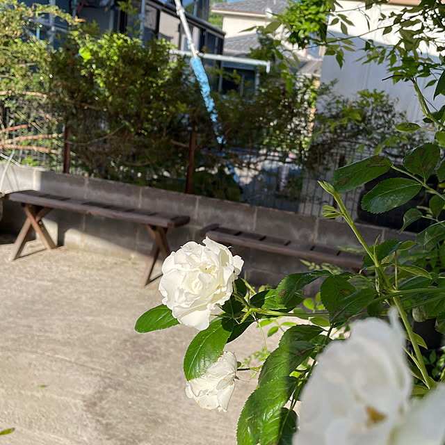 natsumiさんの実例写真