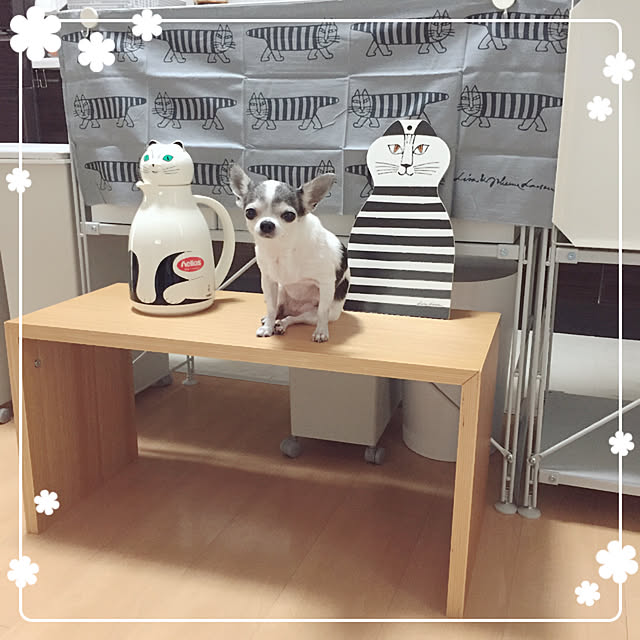 Emiさんの実例写真