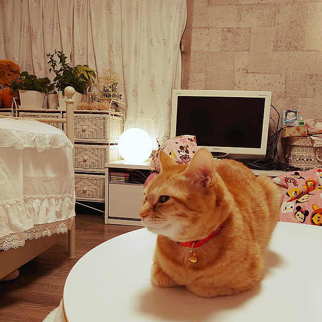asuminさんの実例写真