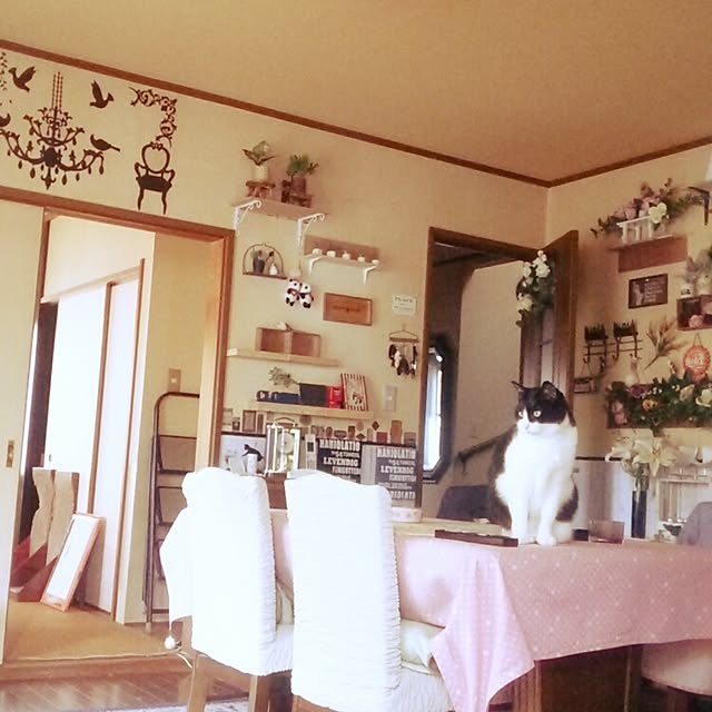 Tomopさんの実例写真