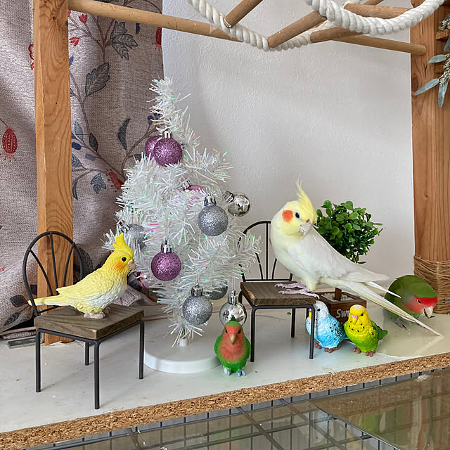 toratanさんの実例写真