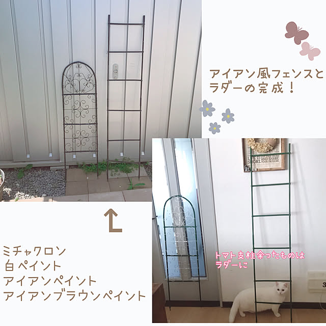 kotoriさんの実例写真