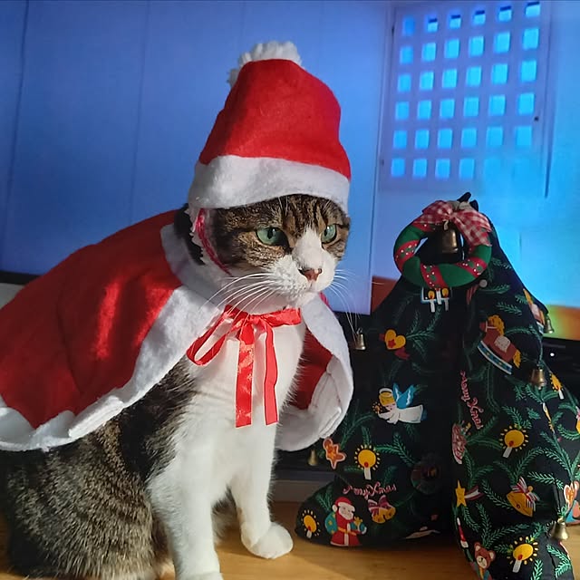 civicglさんの実例写真