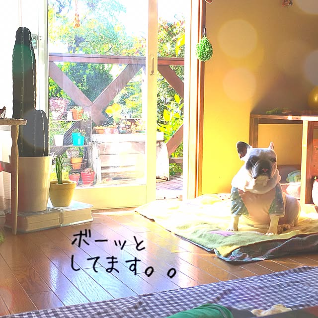 38coreさんの実例写真