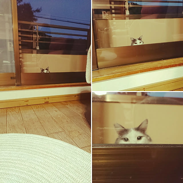 uchizukonyanさんの実例写真
