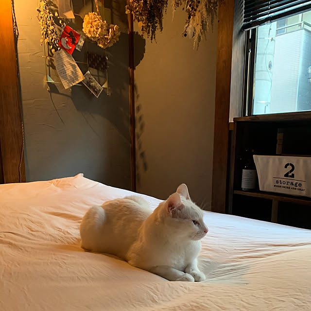 keiさんの部屋