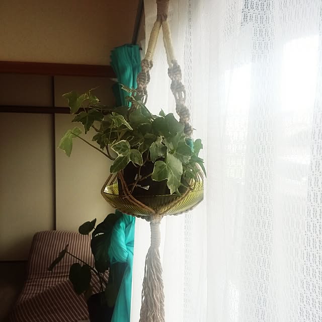 Yachiyoさんの実例写真