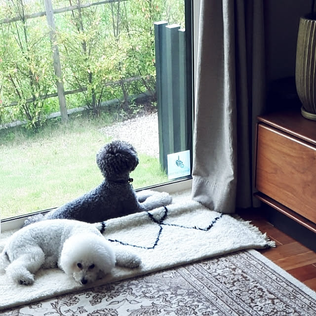matthewさんの実例写真